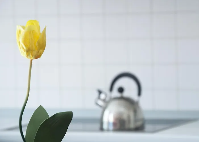 Ξενοδοχείο με διαμερίσματα San Marco 4*